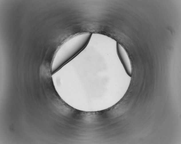 X0000110960384200907171654