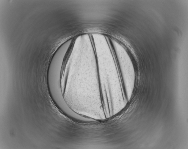 X0000110960385200907171654