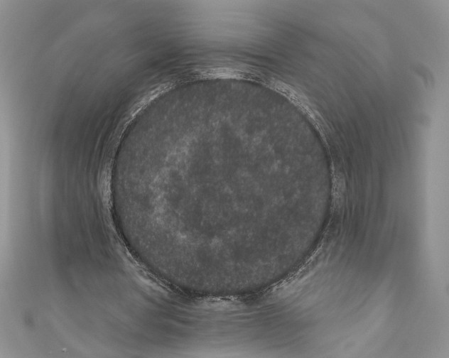 X0000110960386200907171654