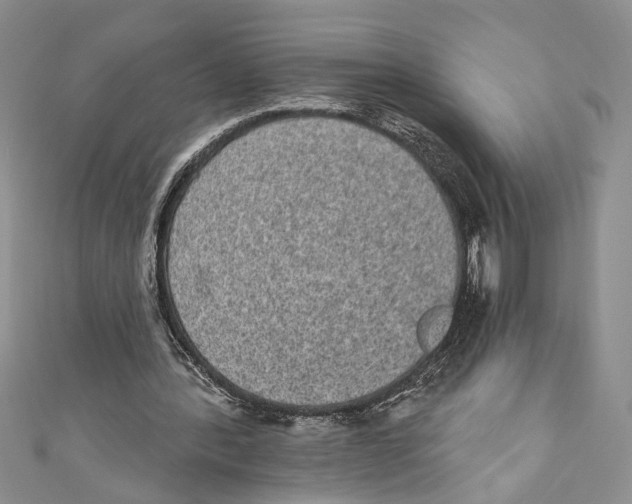 X0000110960388200907171654