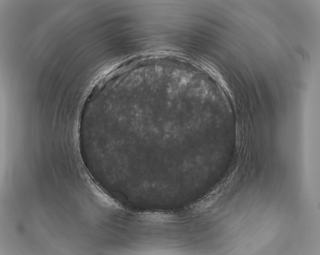 X0000110960389200907171654