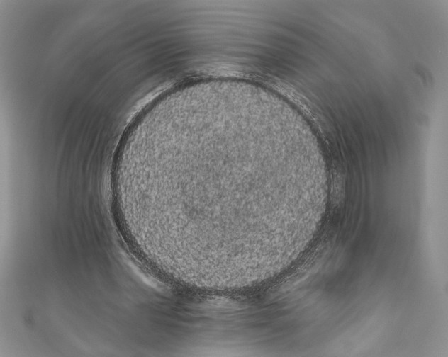 X0000110960390200907171654