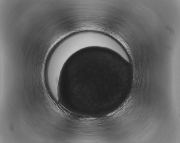 X0000110960391200907171654