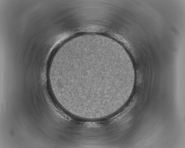X0000110960392200907171654