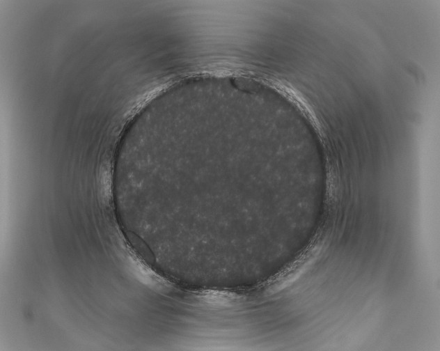 X0000110960393200907171654