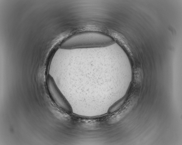 X0000110960395200907171654