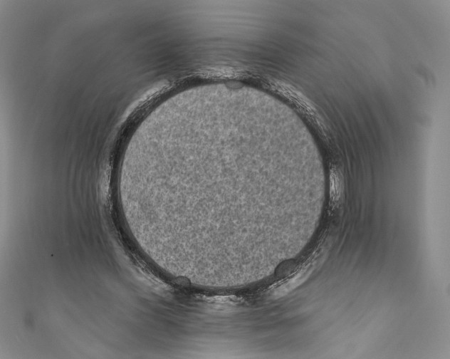 X0000110960396200907171654