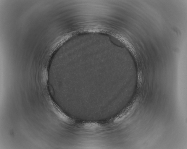 X0000110960397200907171654