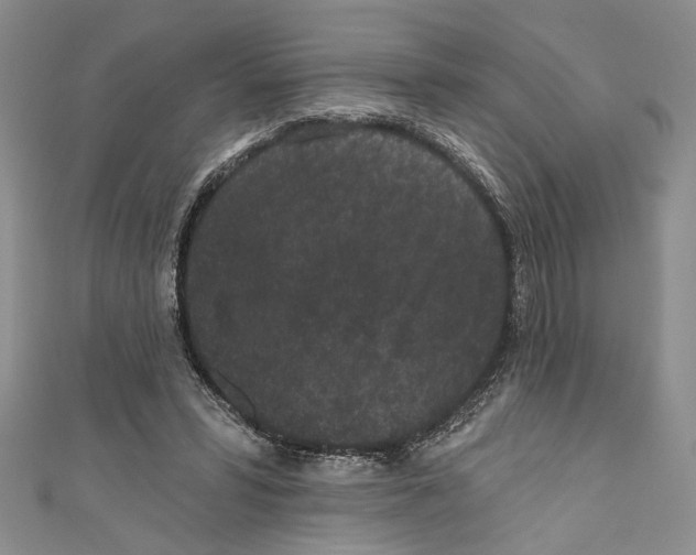 X0000110960399200907171654