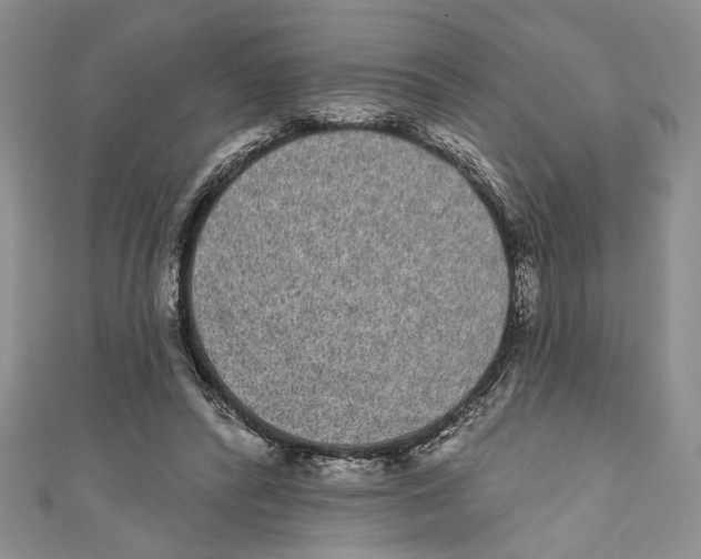 X0000110960400200907171654
