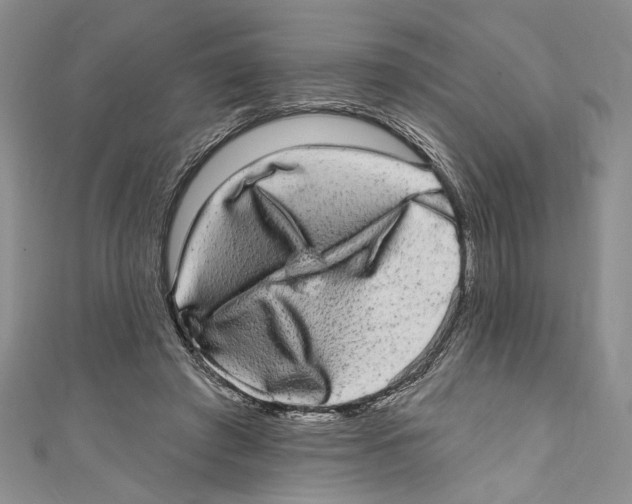 X0000110960401200907171653