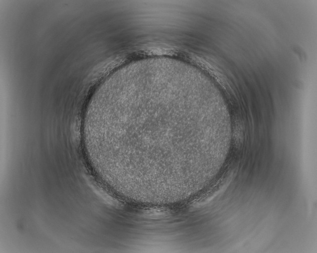 X0000110960402200907171653