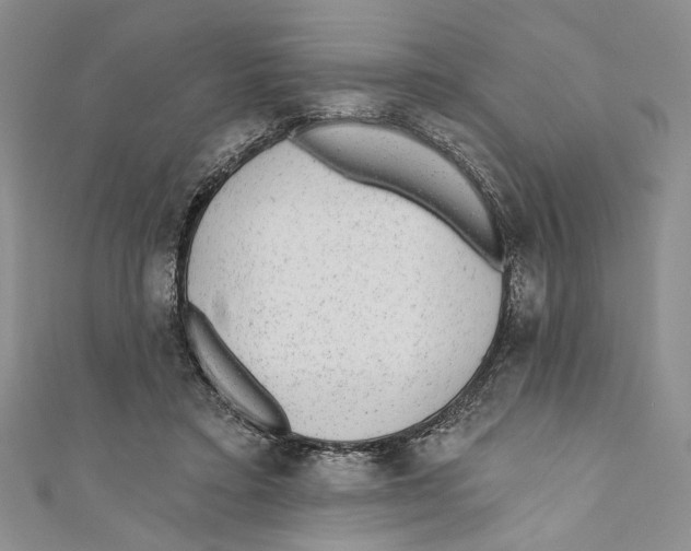 X0000110960403200907171653