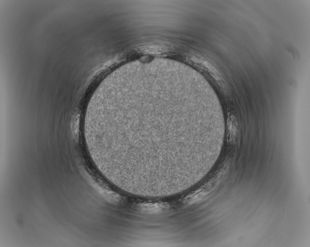X0000110960404200907171653