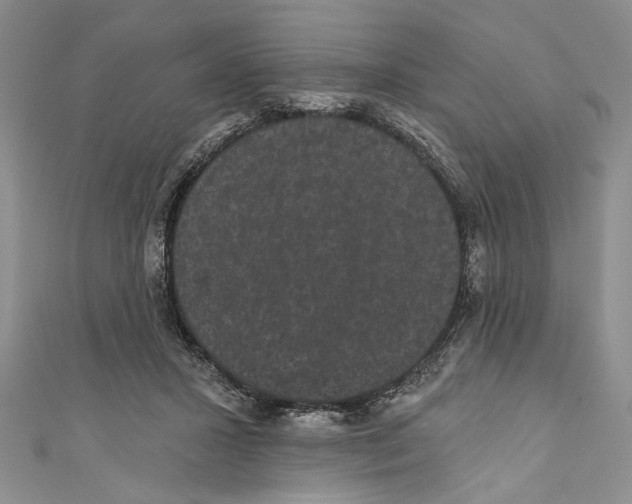 X0000110960407200907171653