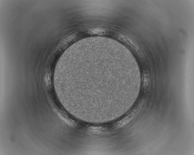 X0000110960408200907171653