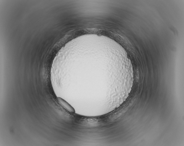 X0000110960409200907171653