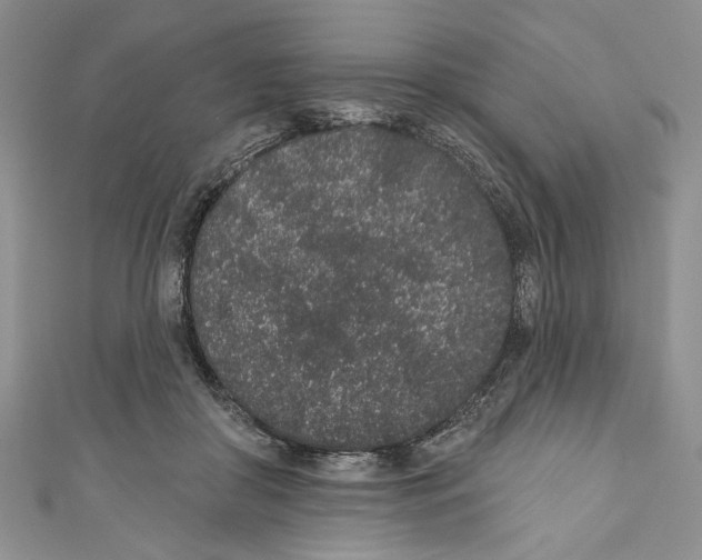 X0000110960410200907171653