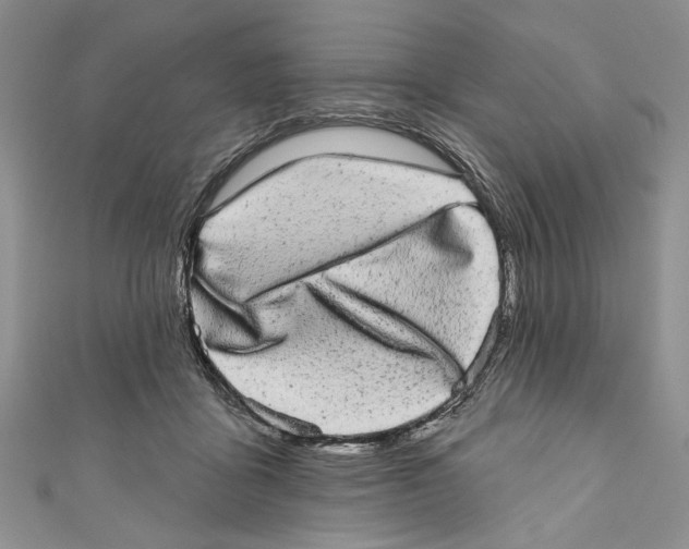 X0000110960411200907171653