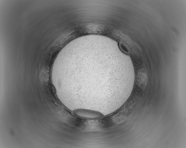 X0000110960413200907171653