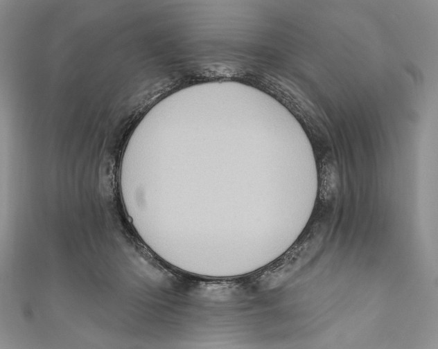 X0000110960414200907171653
