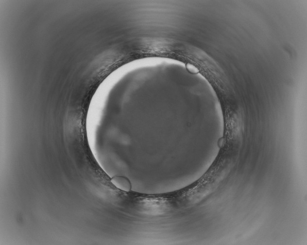 X0000110960415200907171653