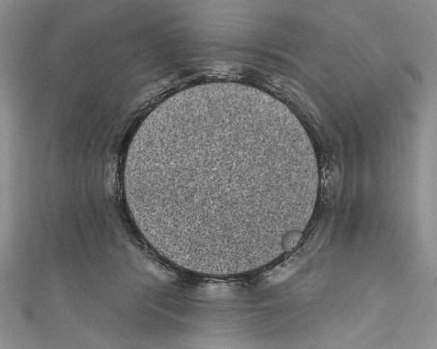 X0000110960416200907171653