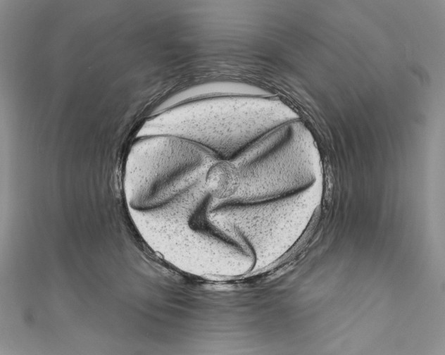 X0000110960419200907171653