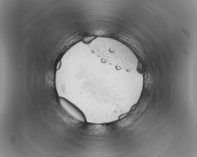 X0000110960421200907171653