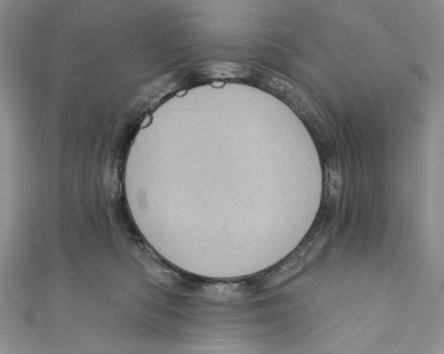 X0000110960422200907171653