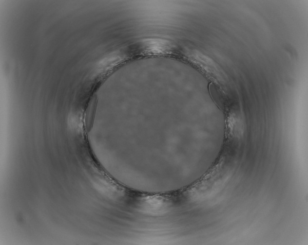 X0000110960423200907171653