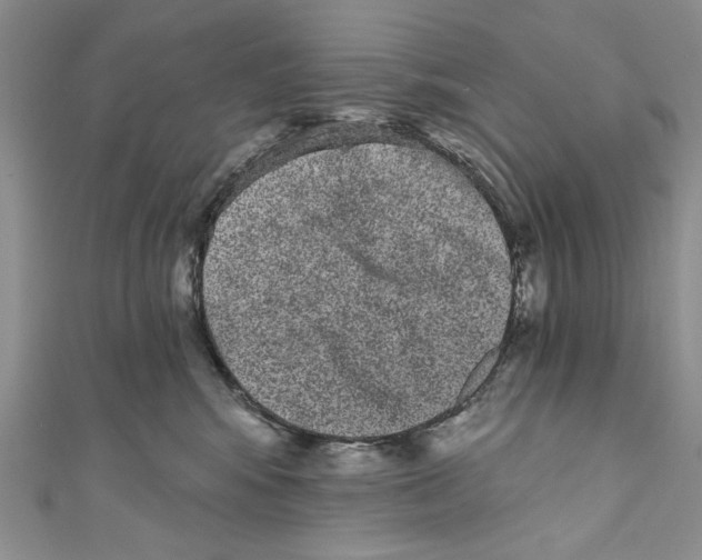 X0000110960424200907171653