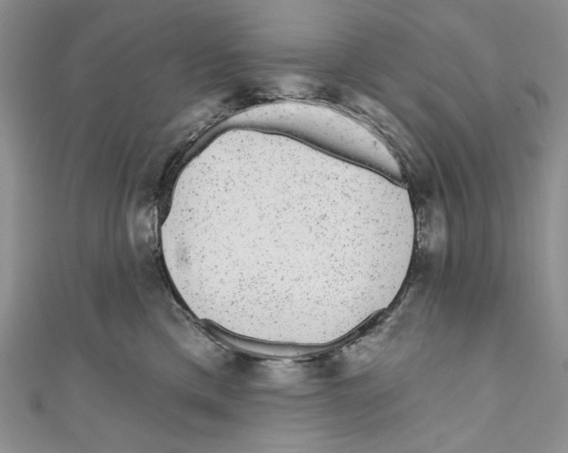 X0000110960425200907171653