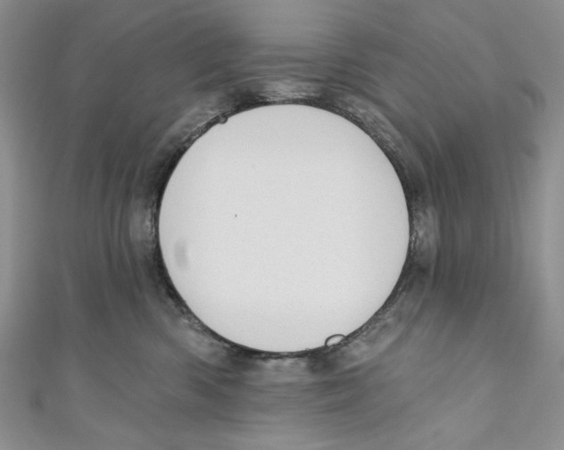 X0000110960426200907171653