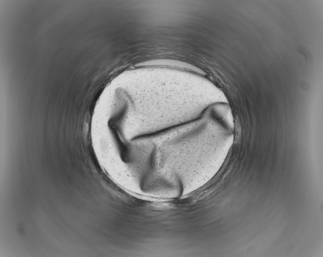 X0000110960427200907171653