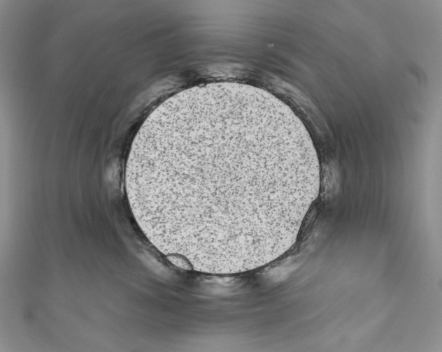 X0000110960428200907171653