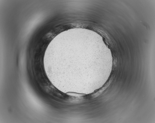 X0000110960429200907171653