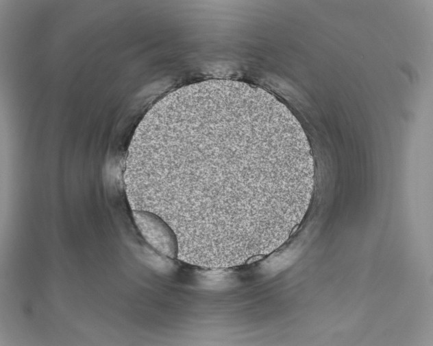 X0000110960432200907171653