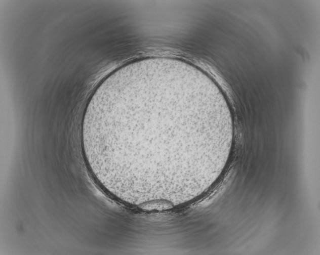 X0000110960433200907171652
