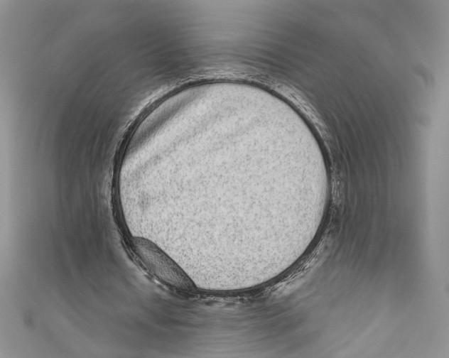 X0000110960434200907171652