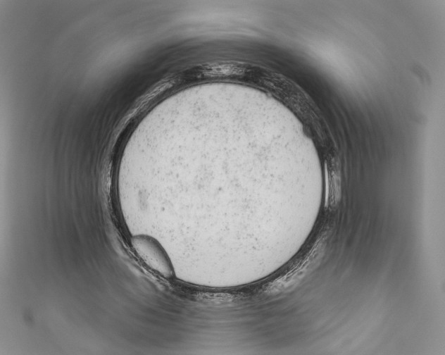 X0000110960435200907171653