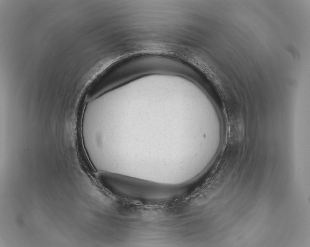 X0000110960436200907171653