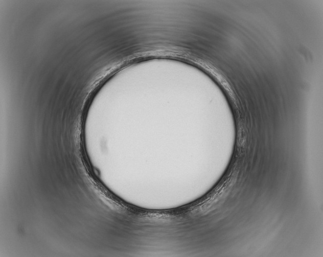 X0000110960437200907171653