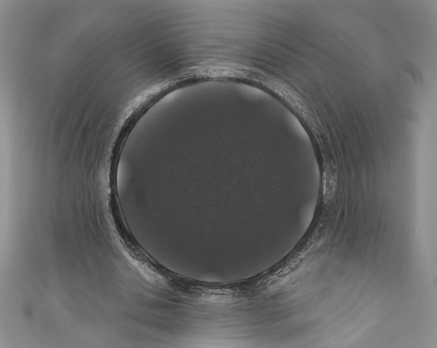 X0000110960438200907171653