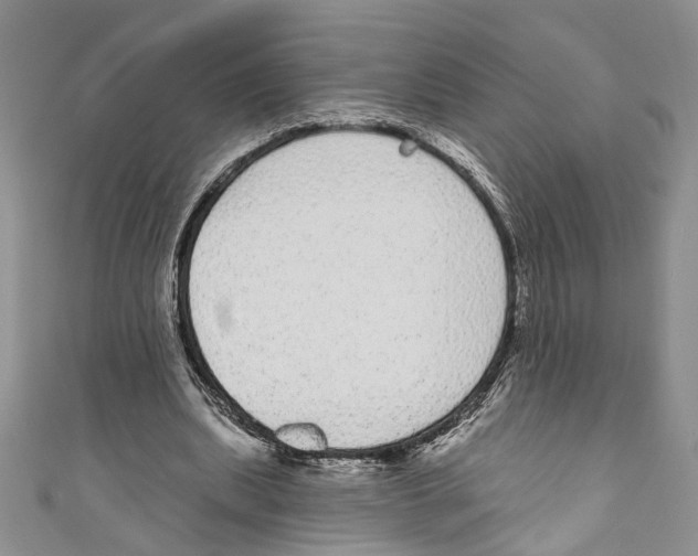X0000110960439200907171653