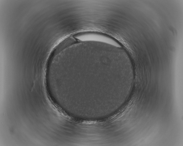 X0000110960440200907171653