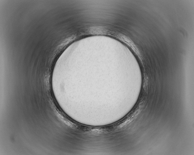 X0000110960441200907171653