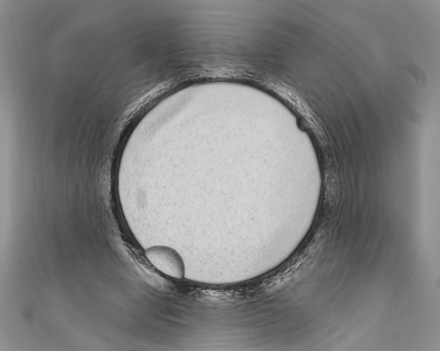 X0000110960442200907171653
