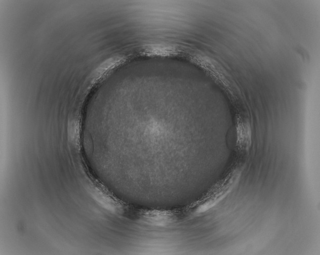X0000110960444200907171653