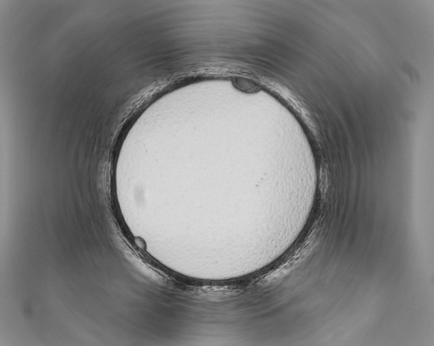 X0000110960445200907171653